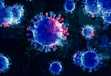 Artistic Illustration Of Coronavirus Pandemic