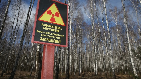 radioactive zone of chernobyl and plant life
