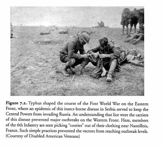 Typhus shaped the course of the first world war on the eastern front, where an epidemic of insect-borne disease in Serbia served to keep the central powers from invading Russia.