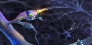 नैनो तकनीक का अनुप्रयोग जो क्षतिग्रस्त न्यूरॉन्स की मरम्मत करते हुए नैनो स्पाइडर बॉट दिखा रहा है