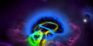 ब्रह्मांड में मस्तिष्क का कलात्मक चित्रण