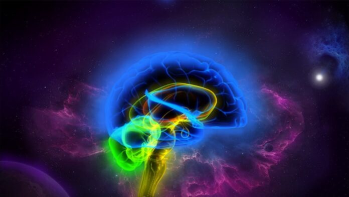 Artistic illustration of brain in universe