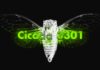 Artistic Illustration of Cicada 3301 Riddle