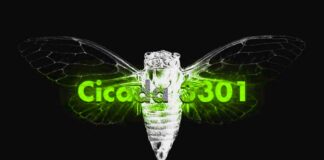 सिकाडा(Cicada) 3301 पहेली का कलात्मक चित्रण