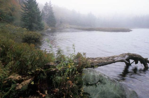 A lake in Vermont's Bennington Triangle region