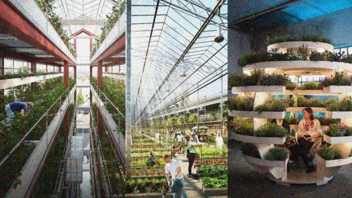 Examples of Urban Agriculture