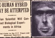 Ivanov's Human Ape Hybrid Experiment