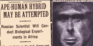 Ivanov's Human Ape Hybrid Experiment