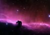 द हॉर्सहेड नेबुला - तारामंडल ओरियन में पृथ्वी से लगभग 1500 प्रकाश-वर्ष बाद गैस और धूल का एक घूमता हुआ बादल।