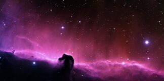 The Horsehead Nebula is a swirling cloud of gas and dust about 1500 light years from Earth in the constellation Orion.